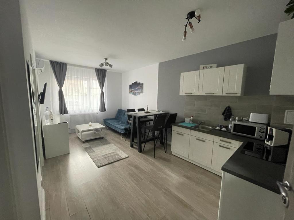 Phoenix Luxury Apartment Oradea Buitenkant foto